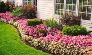 Landscaped Flower Bed